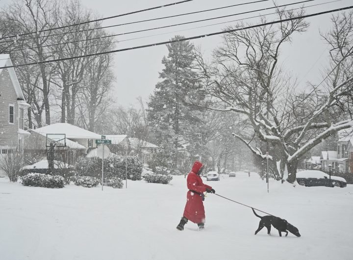 Polar vortex keeps much of the US in its icy grip