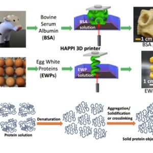 Protein denaturation provides a path toward more sustainable 3D printing of photoresins