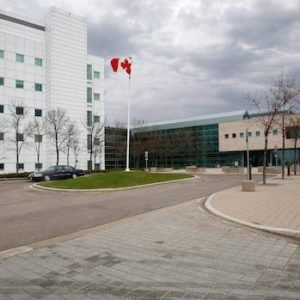 Public Health Agency not renewing contracts of over 800 employees, including 245 at Winnipeg lab: union