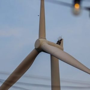 RDG Wind Energy Corp. progresses with its 50-MW wind project in Mabini, Batangas, following the completion of wind resource assessment and securing ne