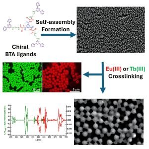 Scientists develop self-assembling molecules with potential applications in targeted drug delivery