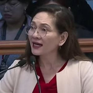 Senate Philippine citizenship Chinese linked to POGO boss