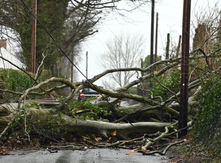 Storm Eowyn kills second victim as man dies after tree falls on his car in Ireland