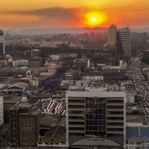 The African city and safari hotspot where flight searches have doubled | World | News