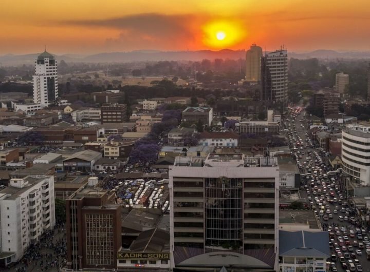 The African city and safari hotspot where flight searches have doubled | World | News