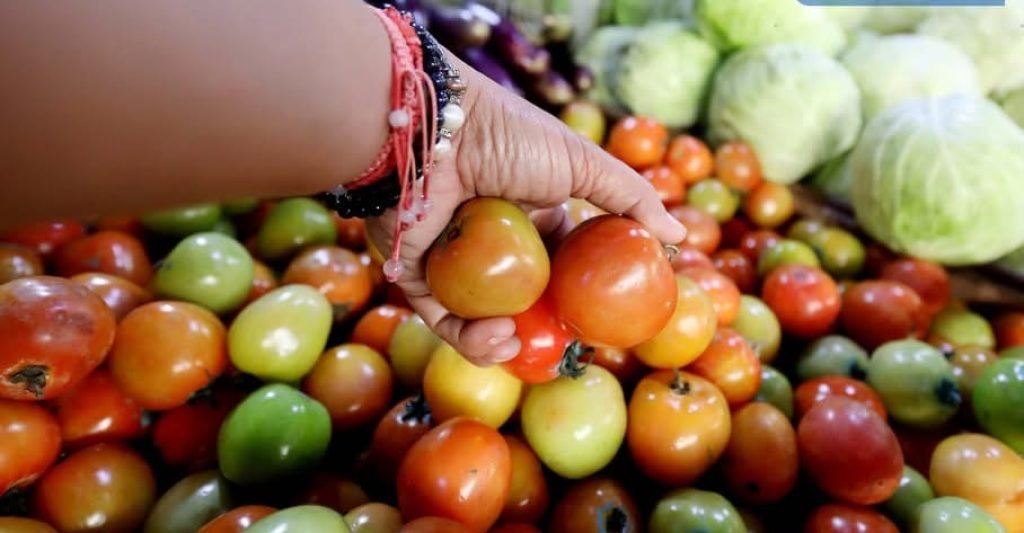 The Department of Agriculture (DA) said the subsequent typhoons last year caused a reduction in the harvest of agricultural crops, including tomatoes,