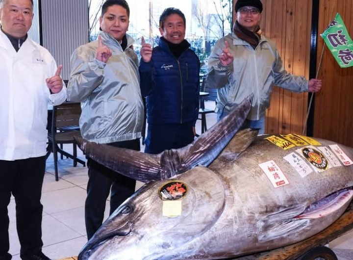 The top bidder at a Tokyo fish market said they paid $1.3 million for a tuna on Sunday, the second highest price ever paid at an annual prestigious ne