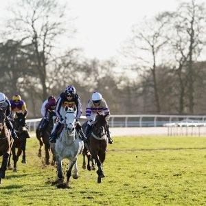 Fontwell Park hosts action over Jumps