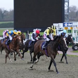 Watch Lingfield live on Sky Sports Racing