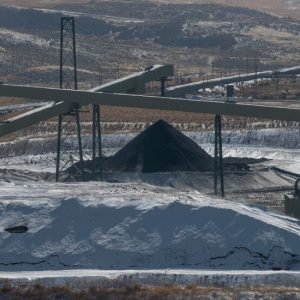 Trump Said, ‘We Have More Coal Than Anybody.’ See Where We Burn It.