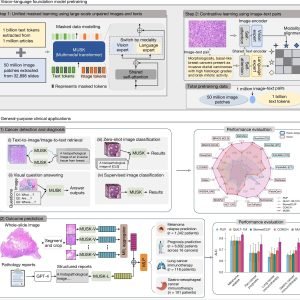 Unique AI predicts cancer prognoses and responses to treatment by combining data from medical images with text