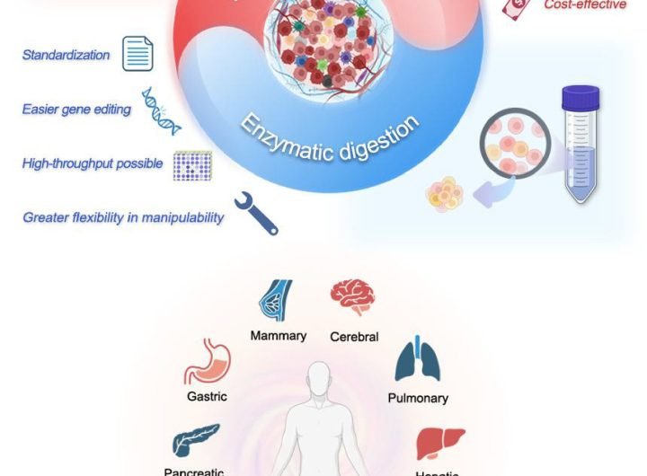 Unraveling the impact of solid tumor dissociation methods