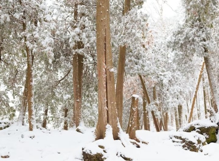 Want to get a prescription for nature access in Canada? Here's how it works