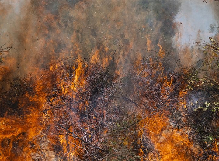 Wildfires Surged During Past Climate Shifts, Ancient Antarctic Ice Reveals : ScienceAlert